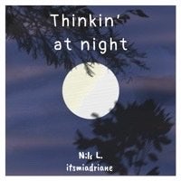 the cover of thinkin'at night